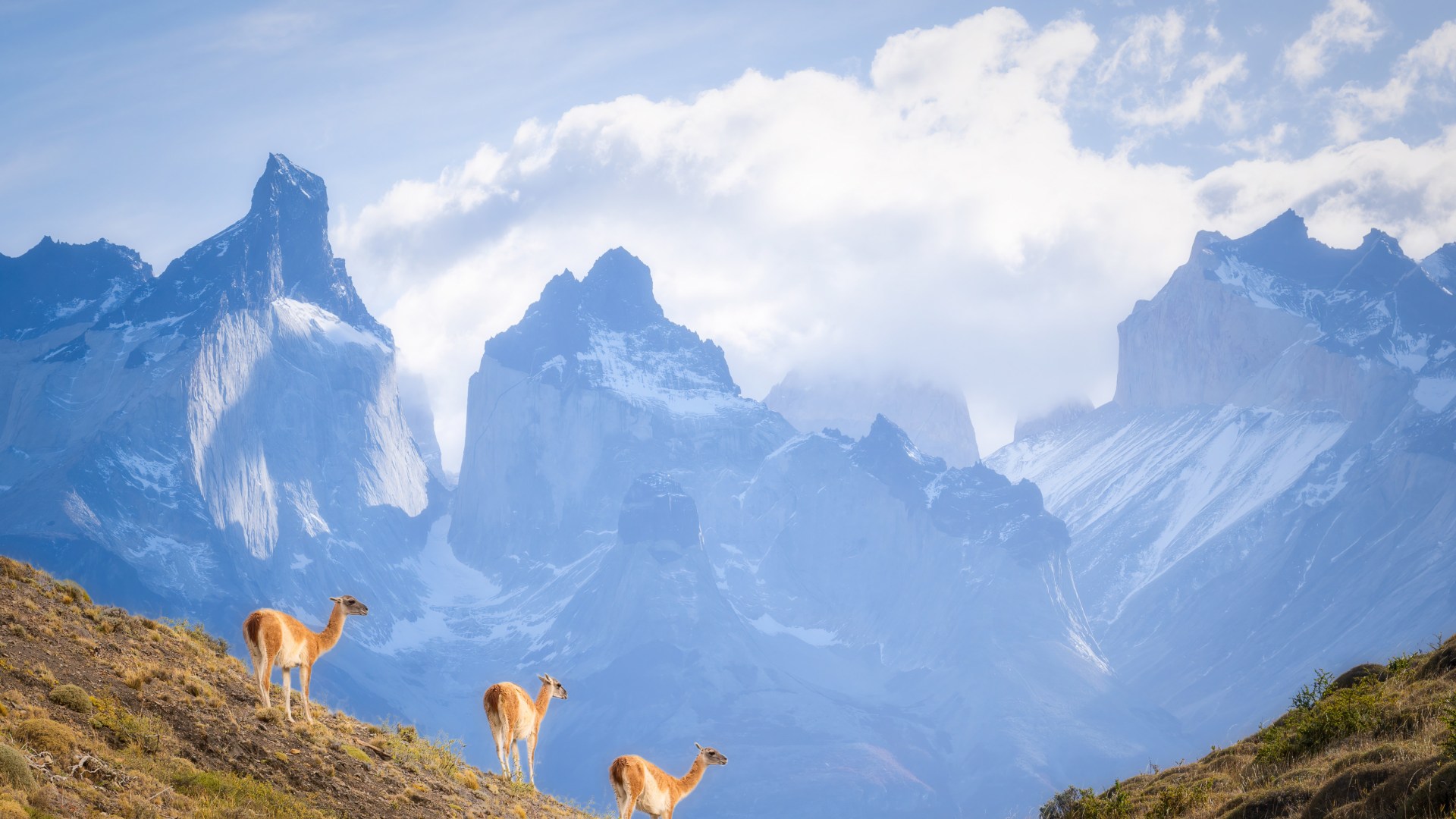 Auf wilden Pfaden durch das Land am Ende der Welt